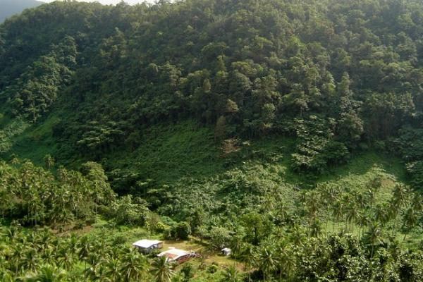 Deforestation and forest degradation around a village